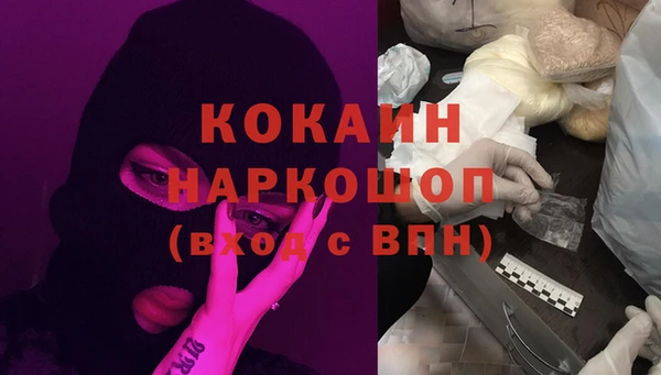 стаф Арсеньев
