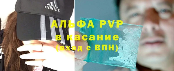 стаф Арсеньев