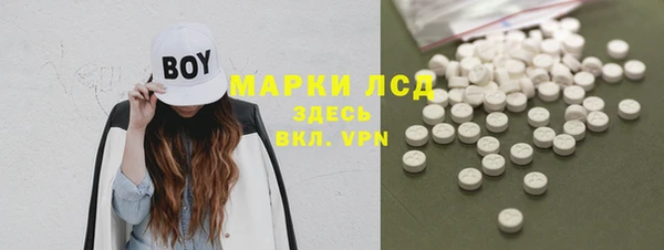стаф Арсеньев