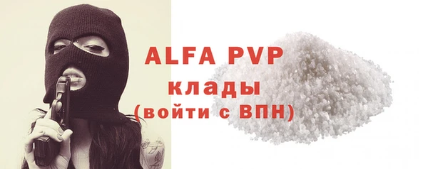 стаф Арсеньев