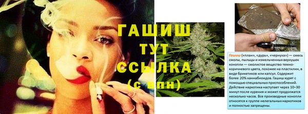 стаф Арсеньев