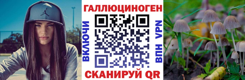 hydra онион  Правдинск  Галлюциногенные грибы Psilocybe 